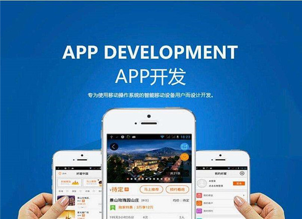 成都APP開發公司