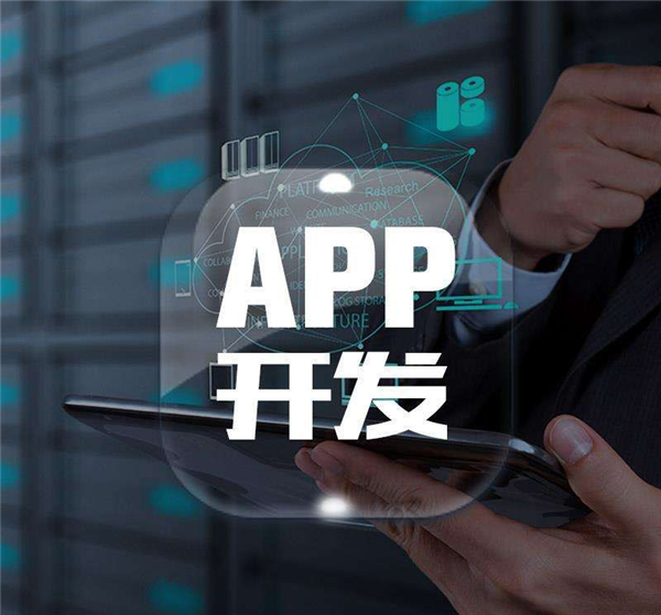 成都APP開發公司